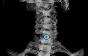 diagnostika